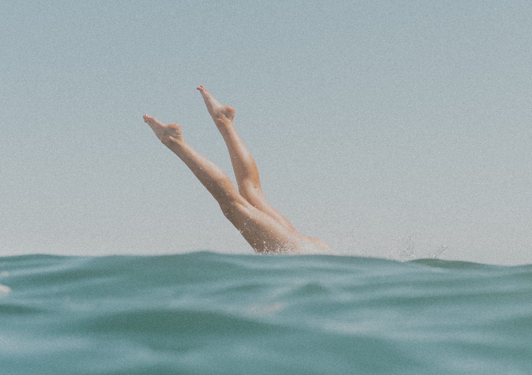 elise-wilcox-lcE4PgJd45o-unsplash