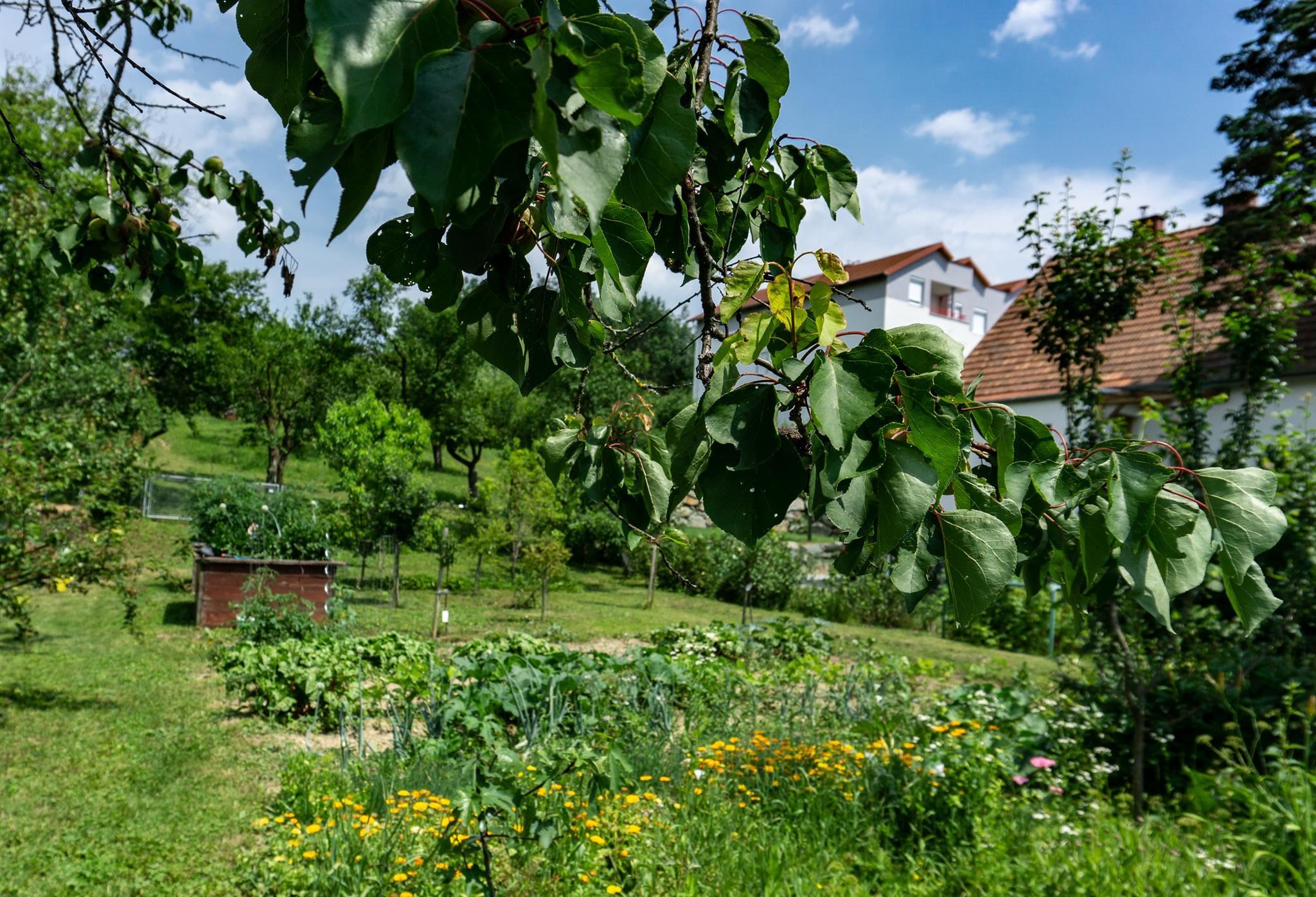 Schreibretreat Südburgenland Lindenhof Hofansicht